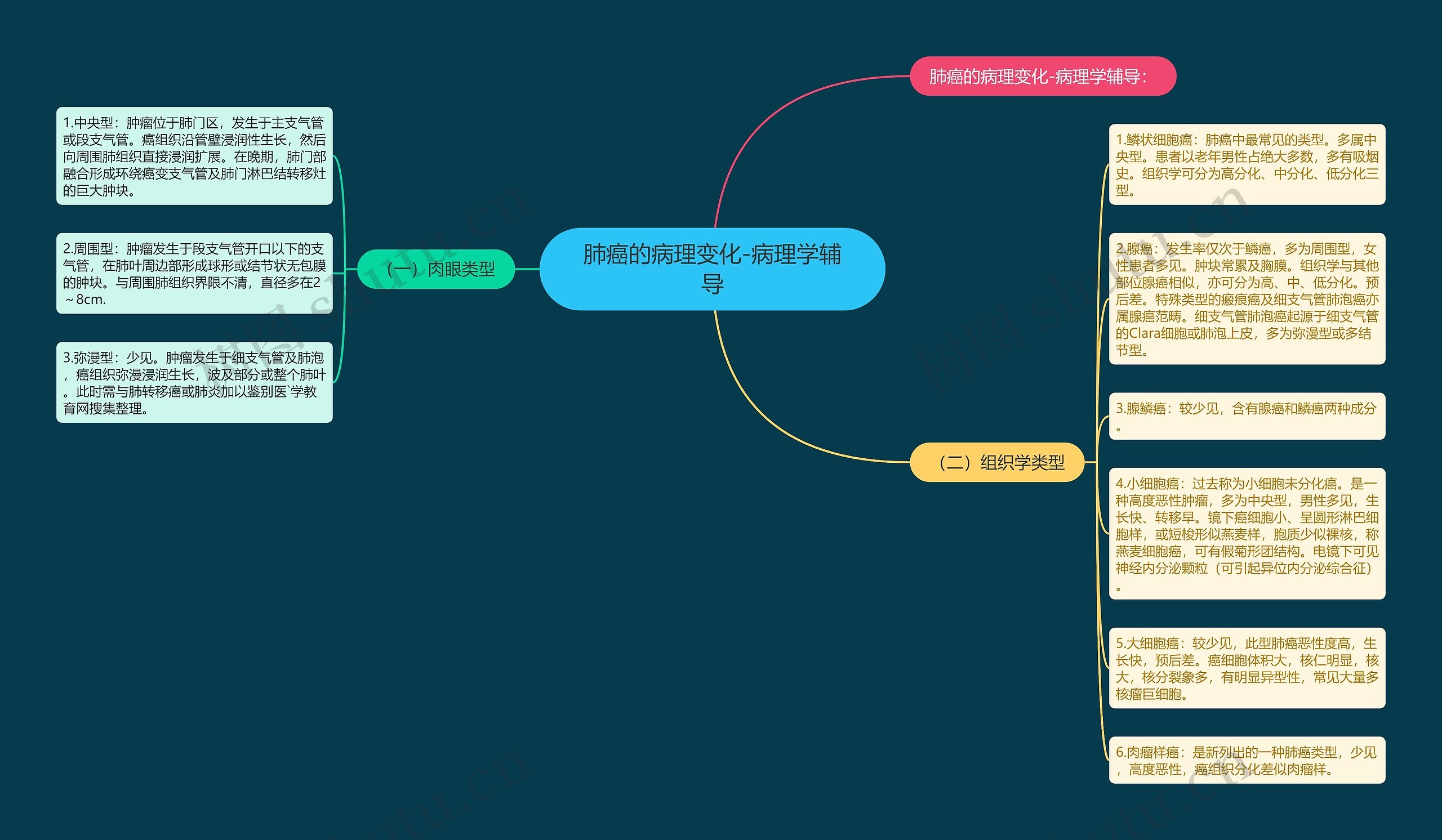 肺癌的病理变化-病理学辅导思维导图