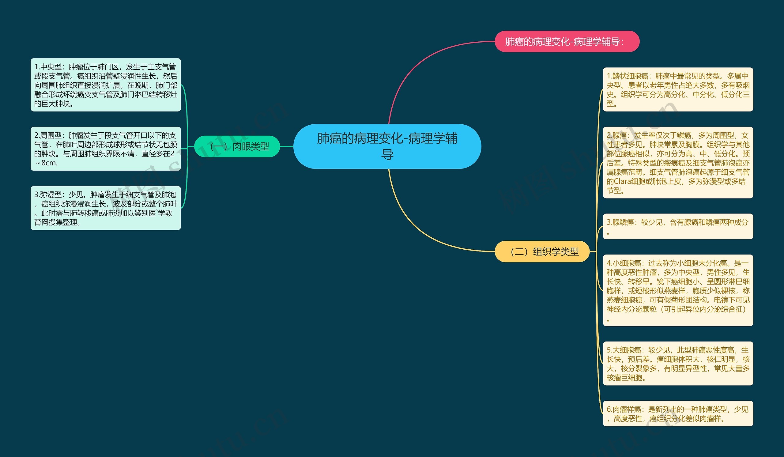 肺癌的病理变化-病理学辅导 肺癌的病理变化-病理学辅导