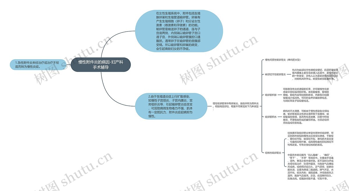 慢性附件炎的病因-妇产科手术辅导思维导图_编号p7543775-TreeMind树图