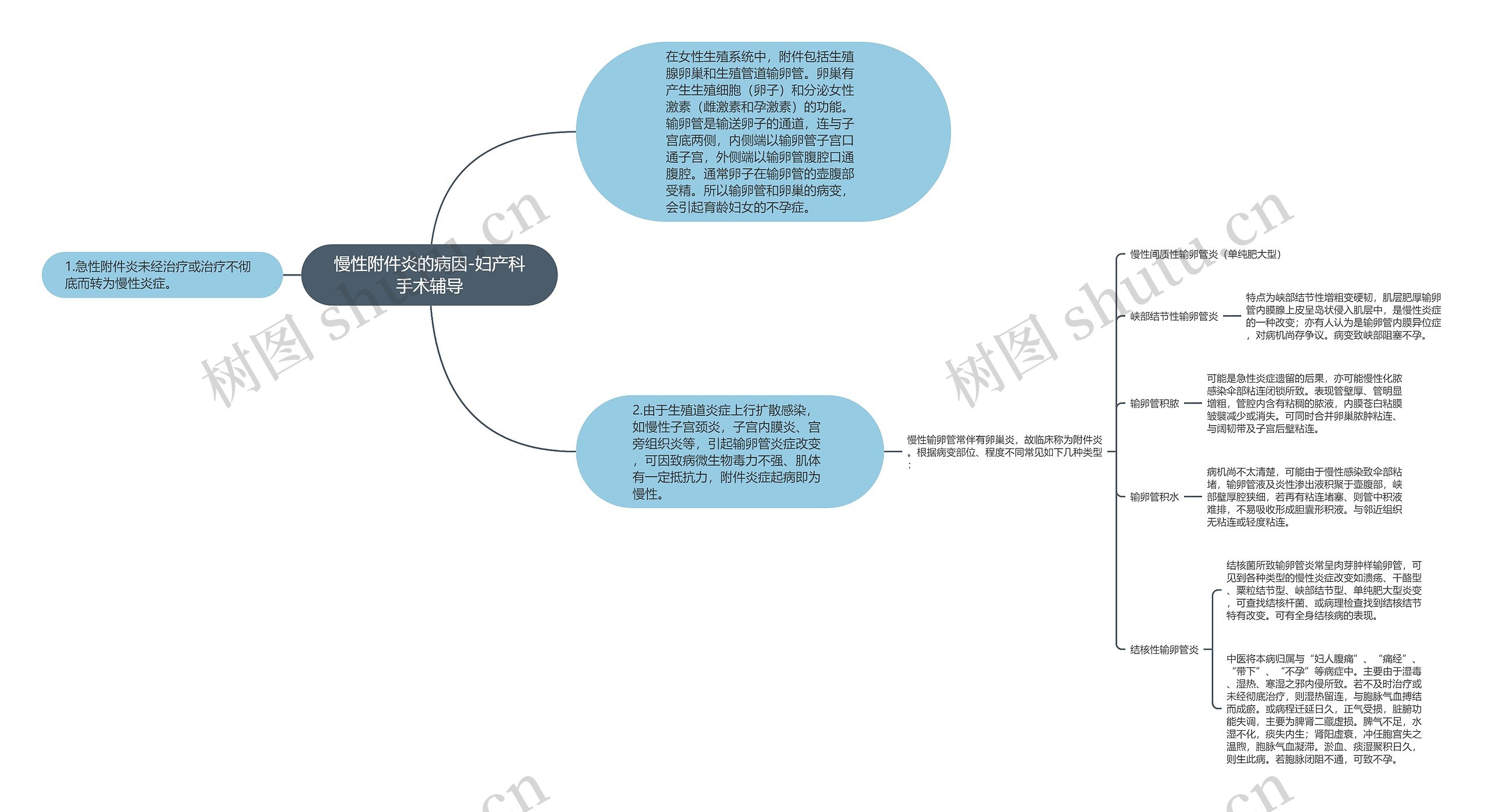 慢性附件炎的病因-妇产科手术辅导思维导图