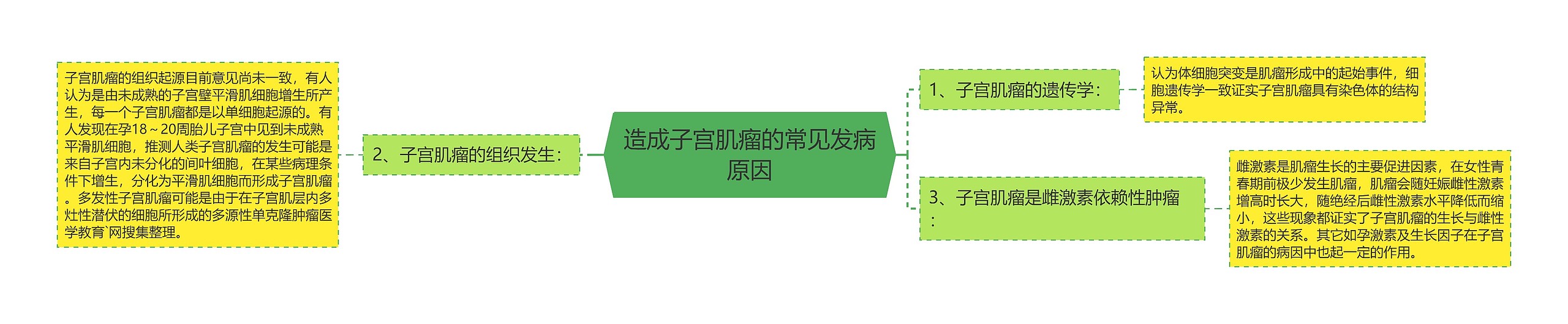 造成子宫肌瘤的常见发病原因