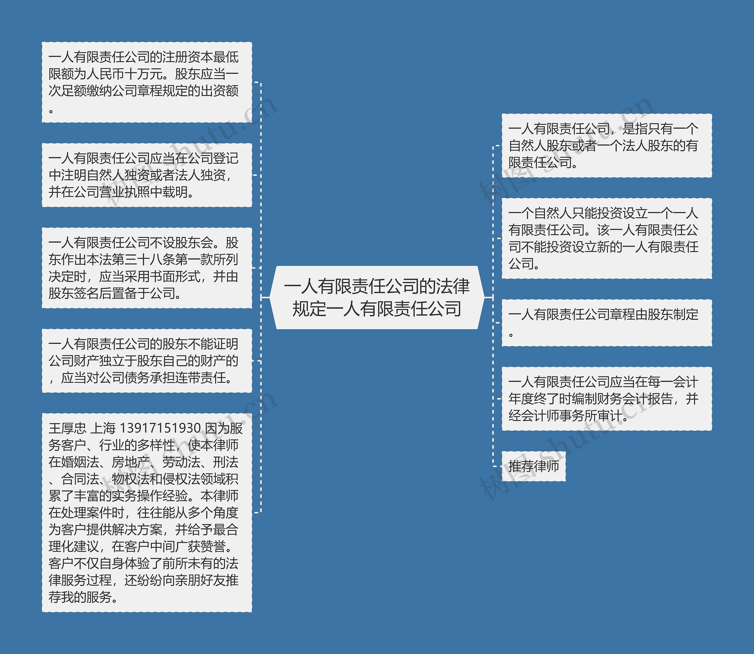 一人有限责任公司的法律规定一人有限责任公司思维导图