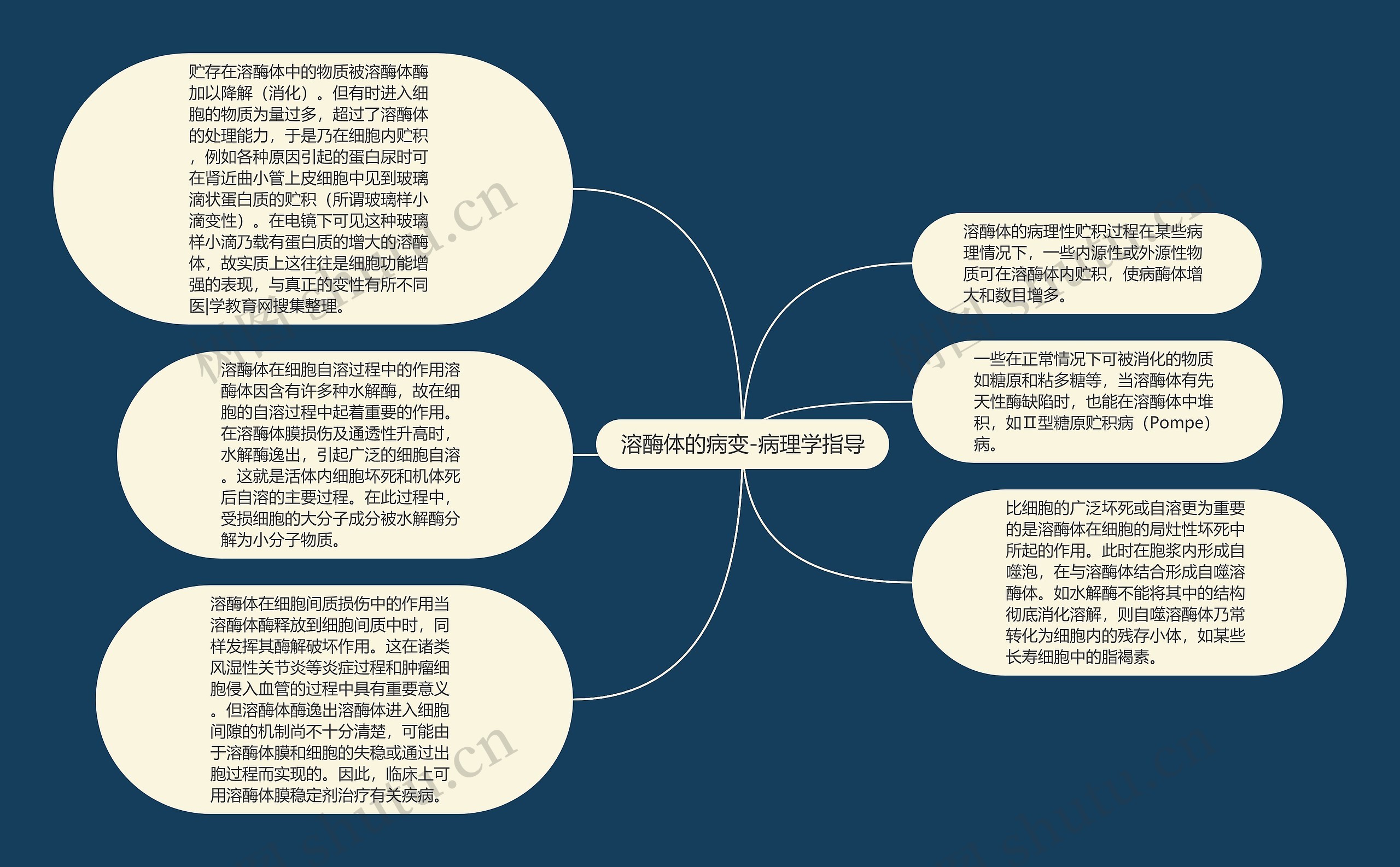 溶酶体的病变-病理学指导