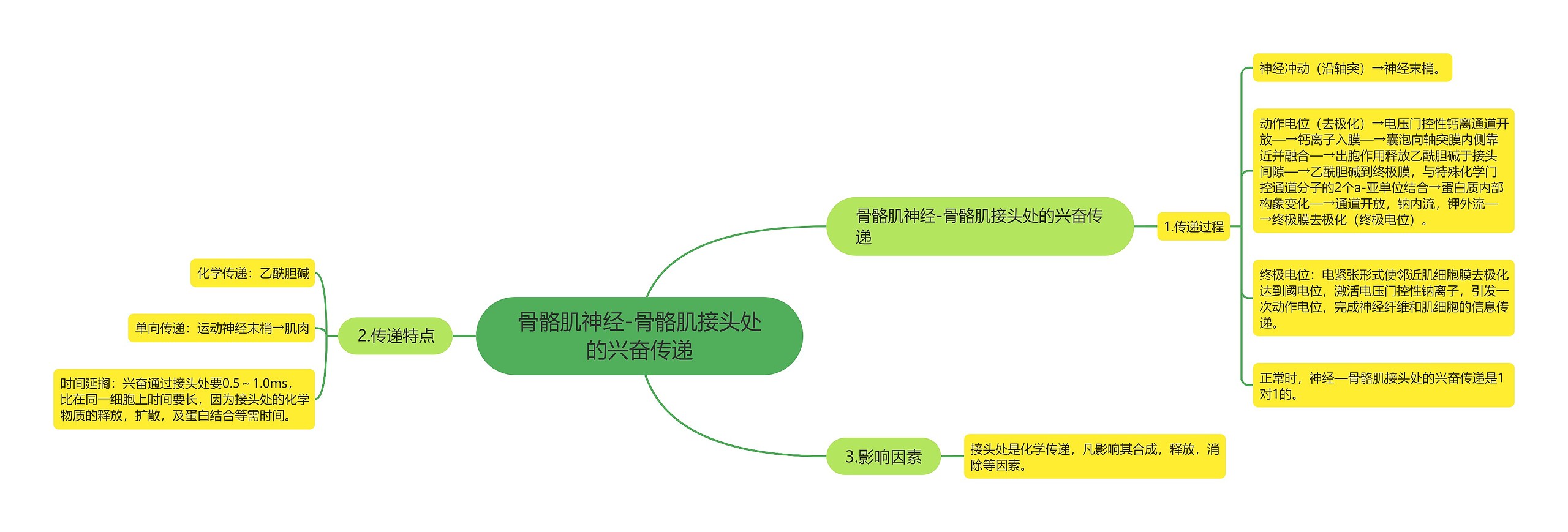 骨骼肌神经-骨骼肌接头处的兴奋传递思维导图