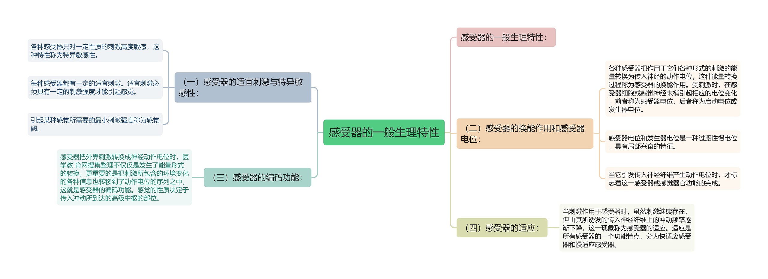 感受器的一般生理特性