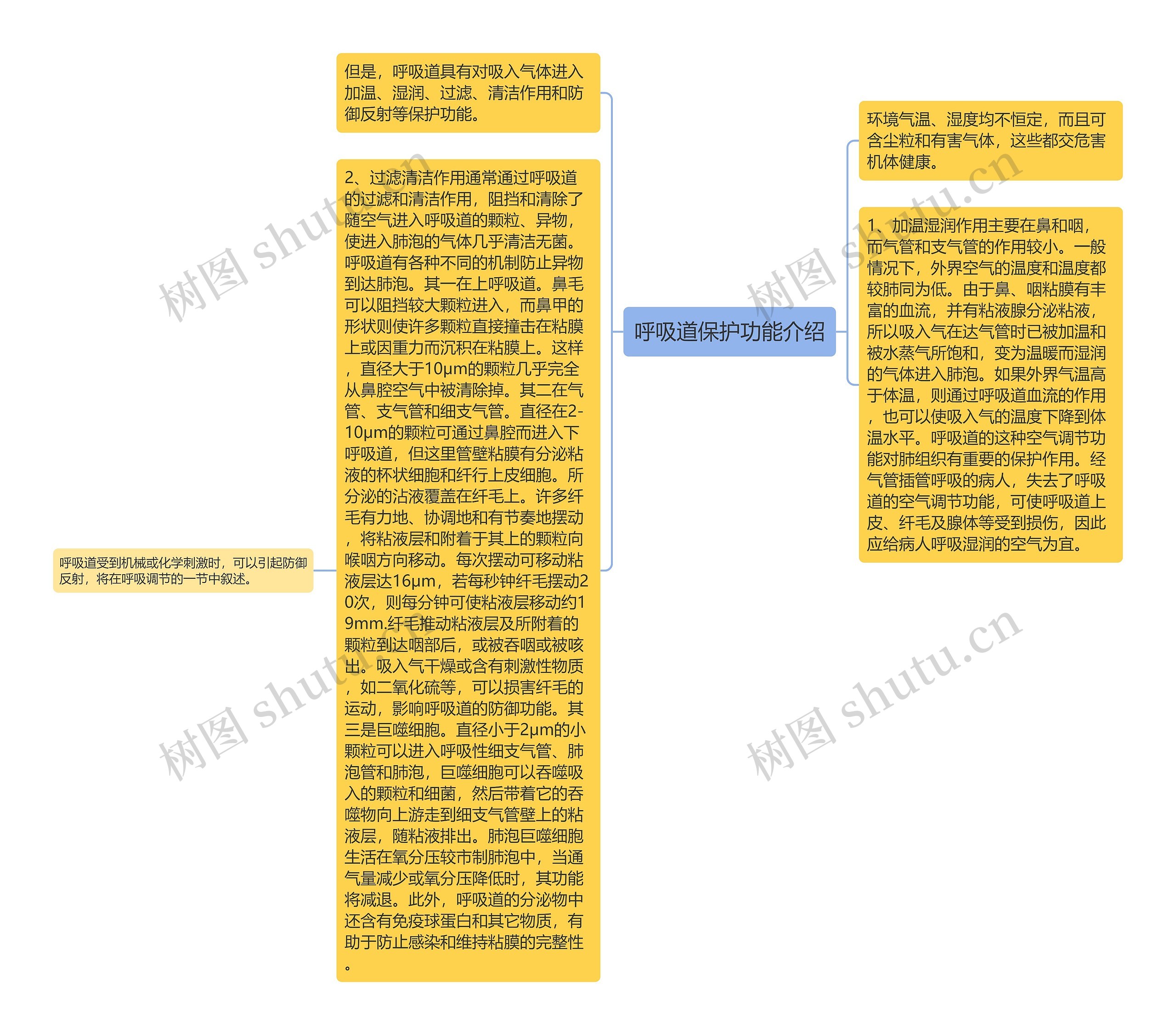 呼吸道保护功能介绍