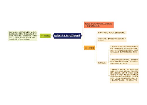 细菌形态和结构的检查法