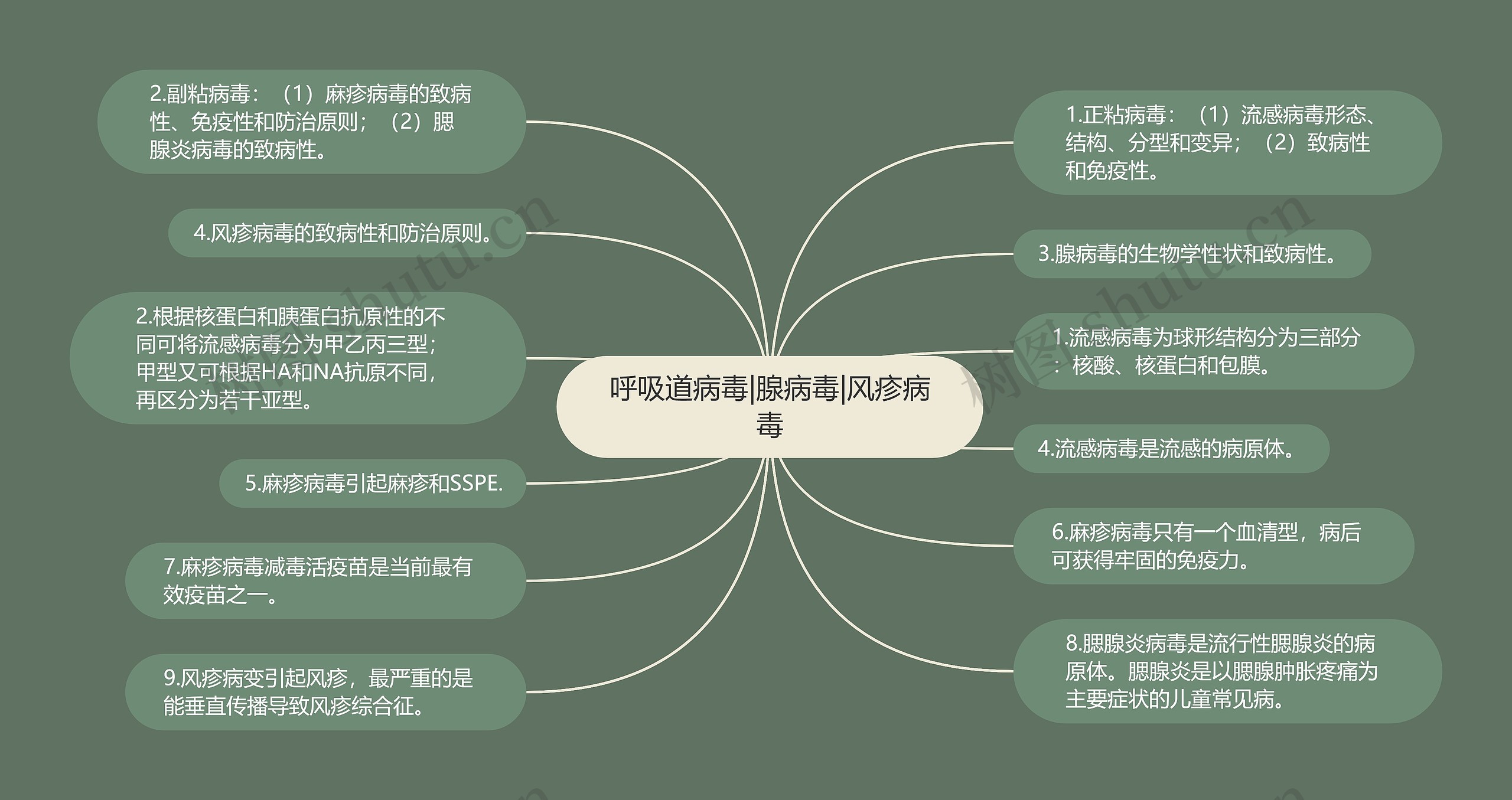 呼吸道病毒|腺病毒|风疹病毒思维导图