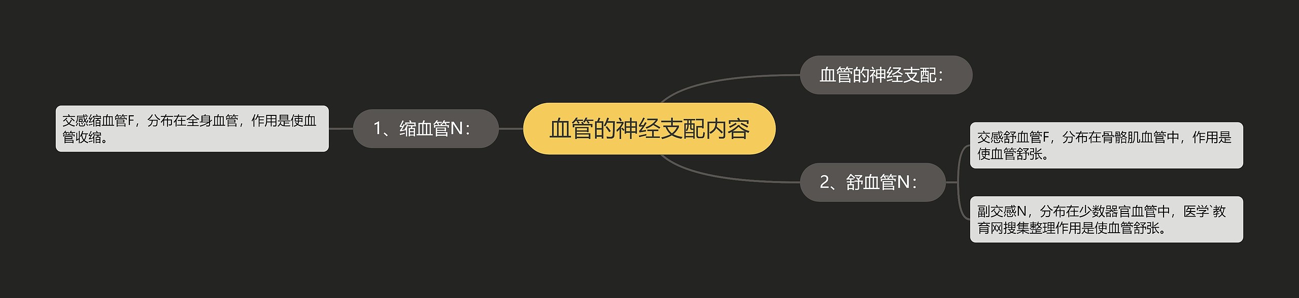 血管的神经支配内容 血管的神经支配内容