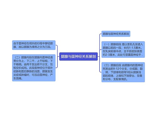 腮腺与面神经关系解剖