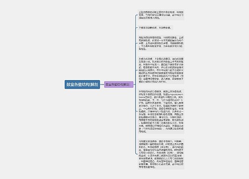 鼓室各壁结构|解剖