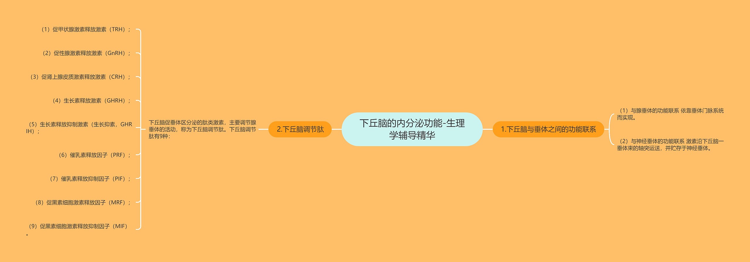 下丘脑的内分泌功能-生理学辅导精华 下丘脑的内分泌功能-生理学辅导精华