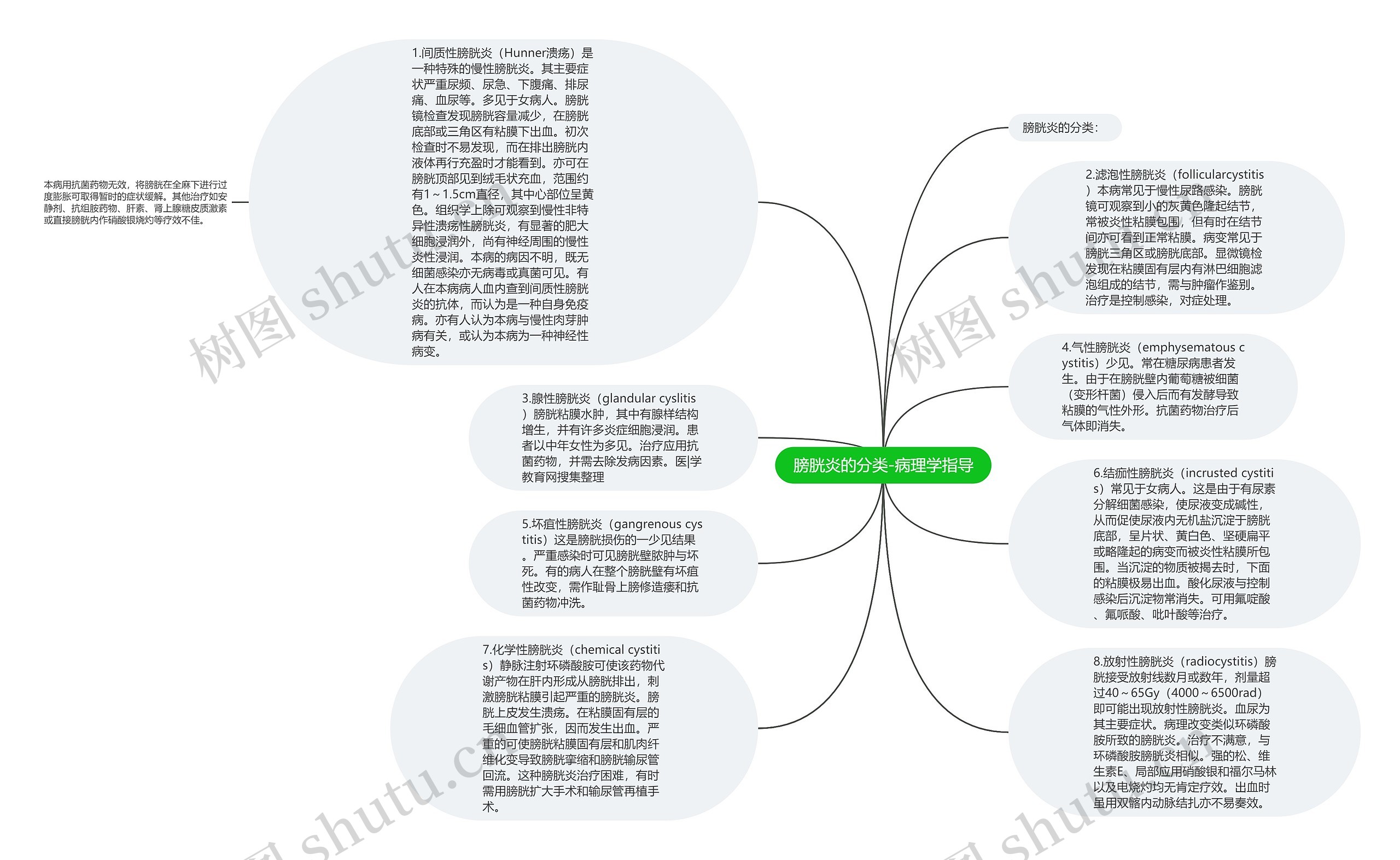 膀胱炎的分类-病理学指导