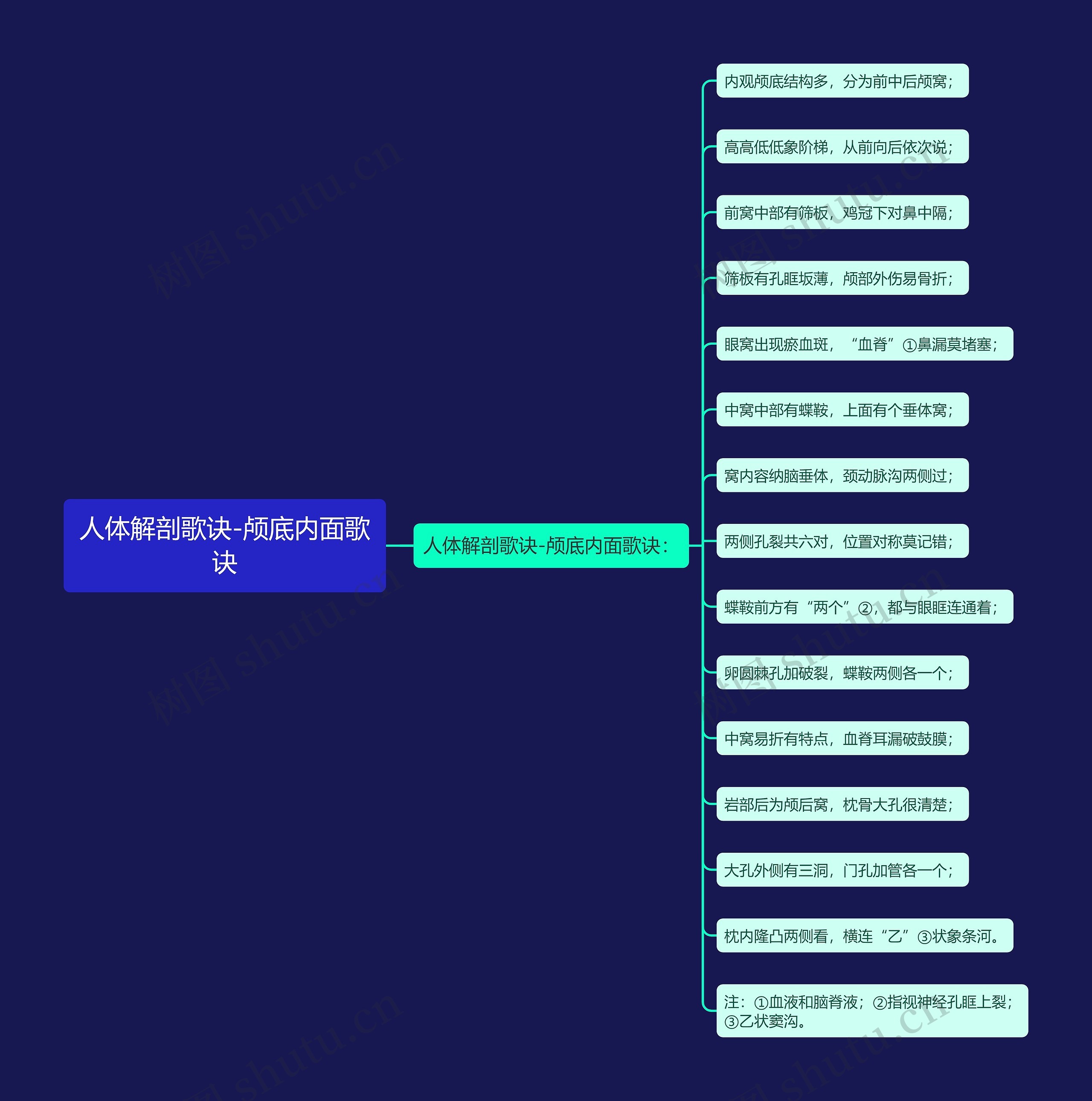 人体解剖歌诀-颅底内面歌诀 人体解剖歌诀-颅底内面歌诀