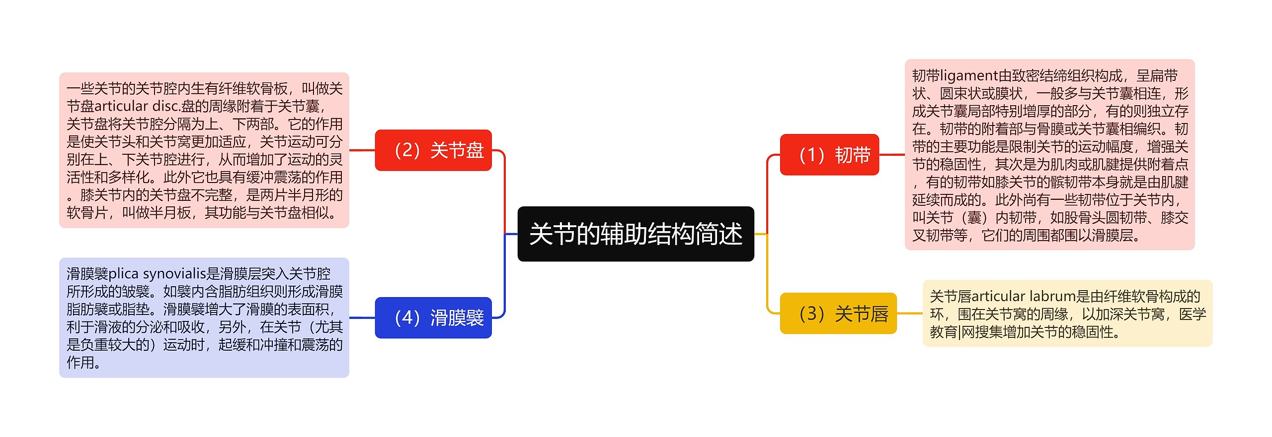 关节的辅助结构简述思维导图