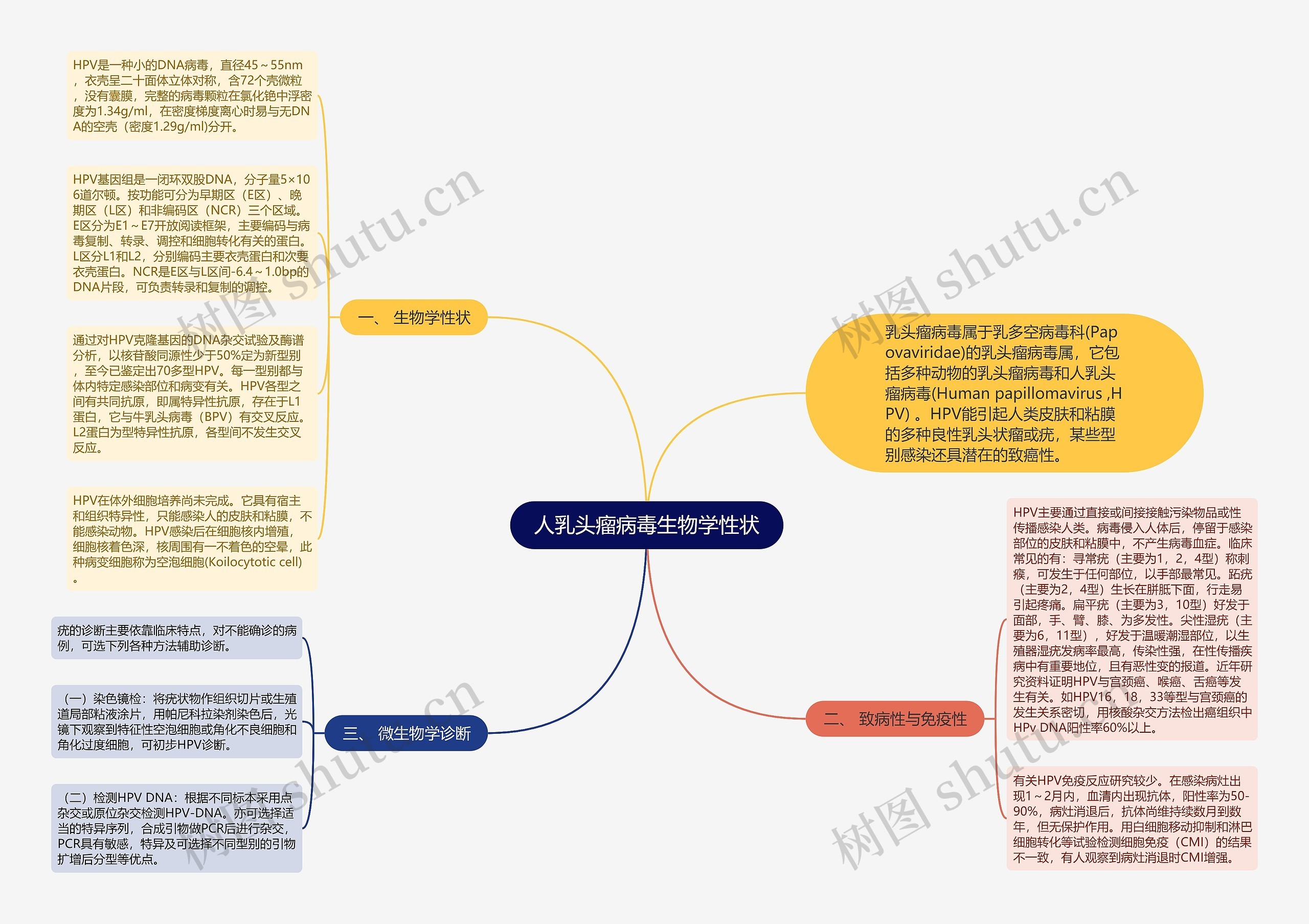 人乳头瘤病毒生物学性状