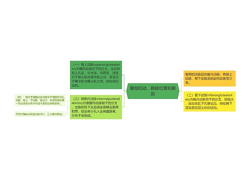 臀部的动、静脉位置和解剖