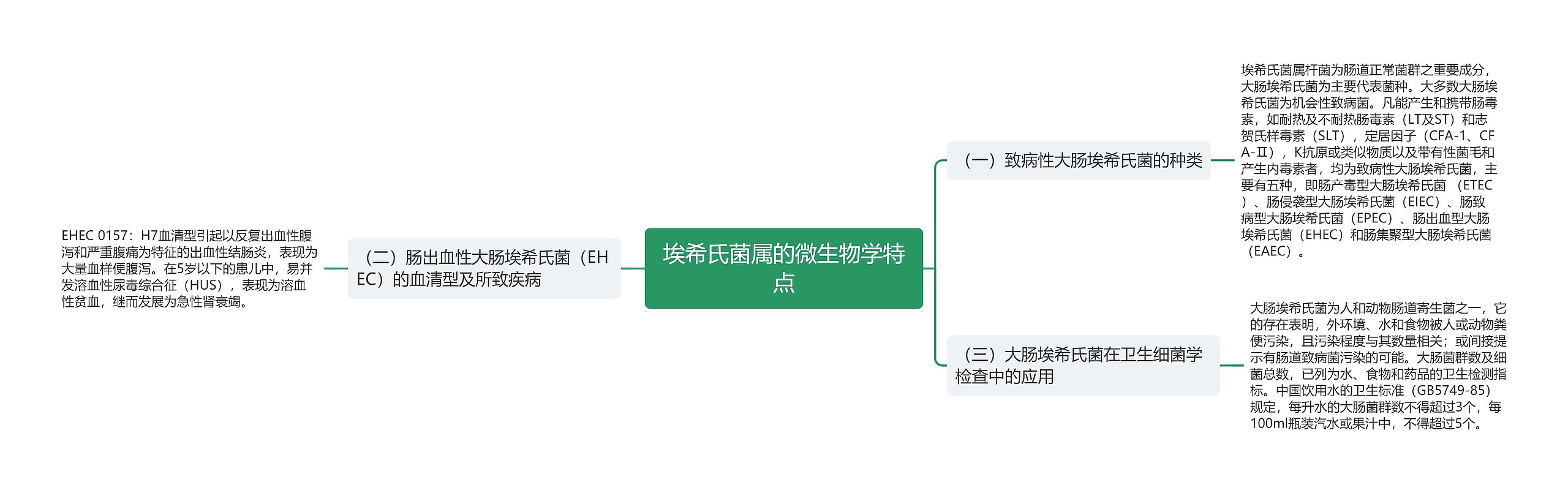 埃希氏菌属的微生物学特点思维导图