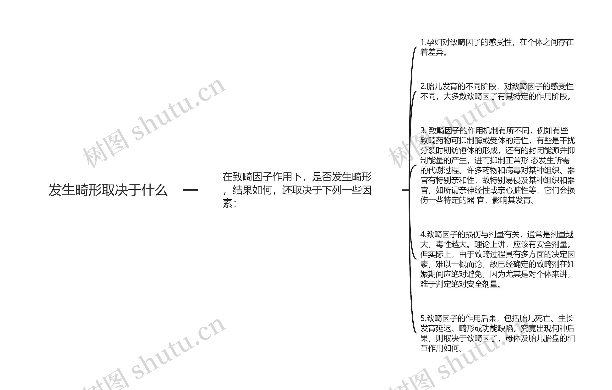 发生畸形取决于什么思维导图