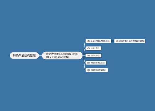 肺换气的结构基础