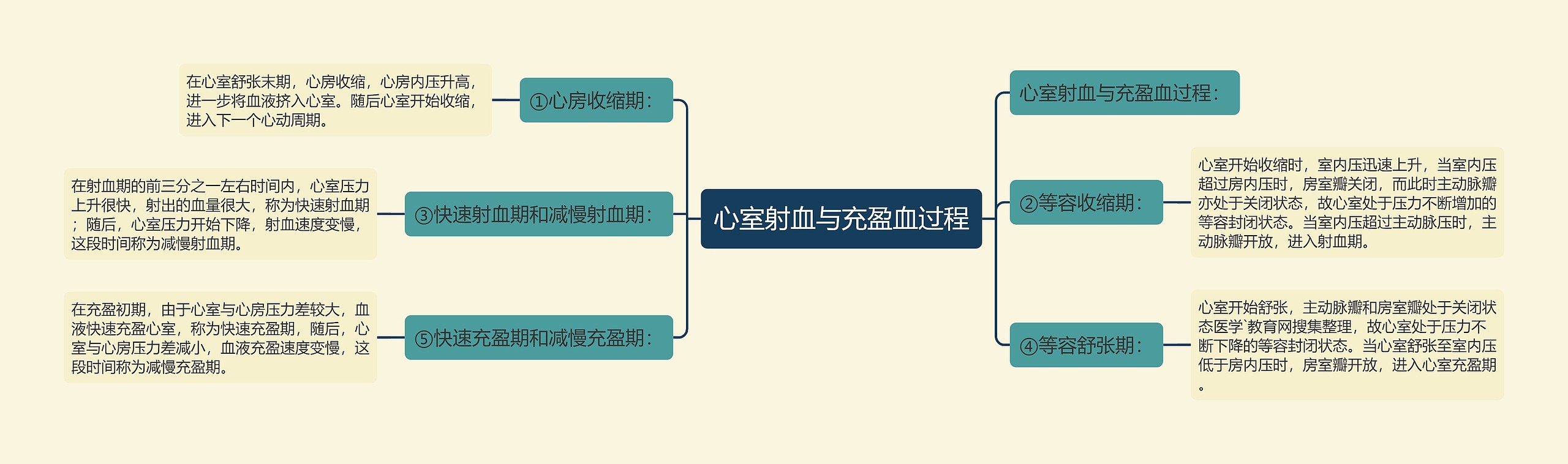 心室射血与充盈血过程思维导图