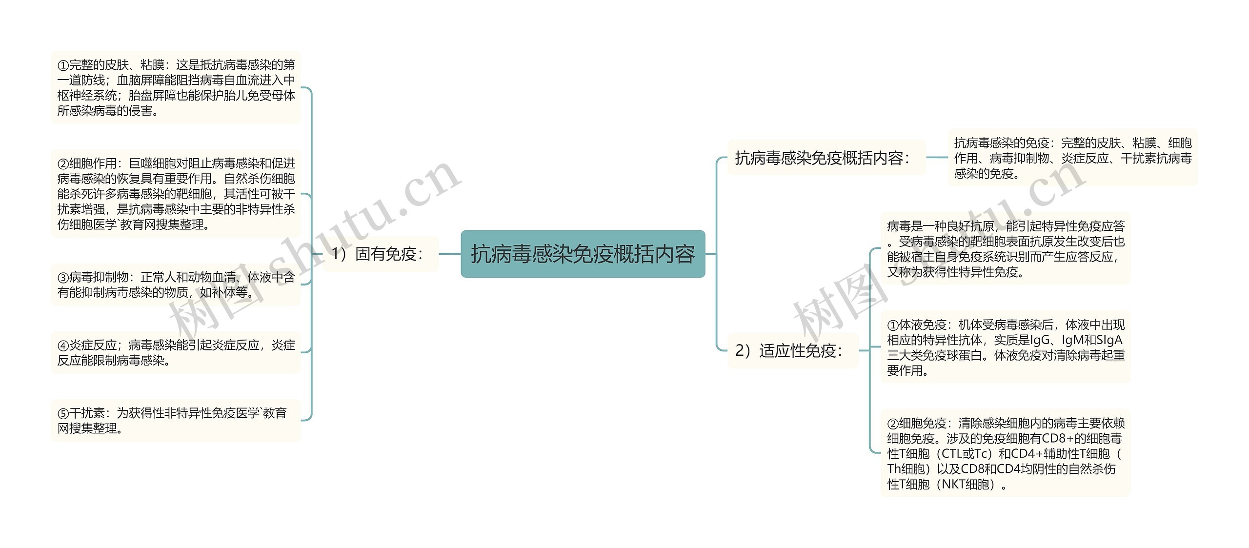 抗病毒感染免疫概括内容思维导图