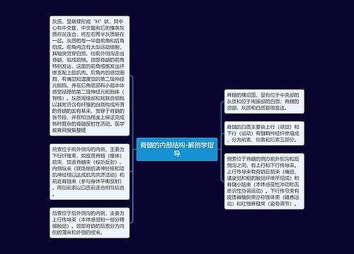 脊髓的内部结构-解剖学指导