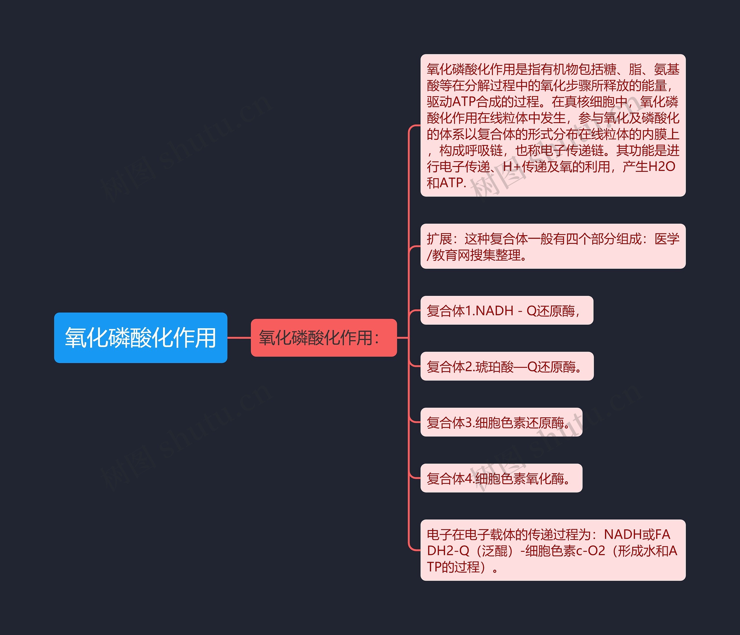 氧化磷酸化作用