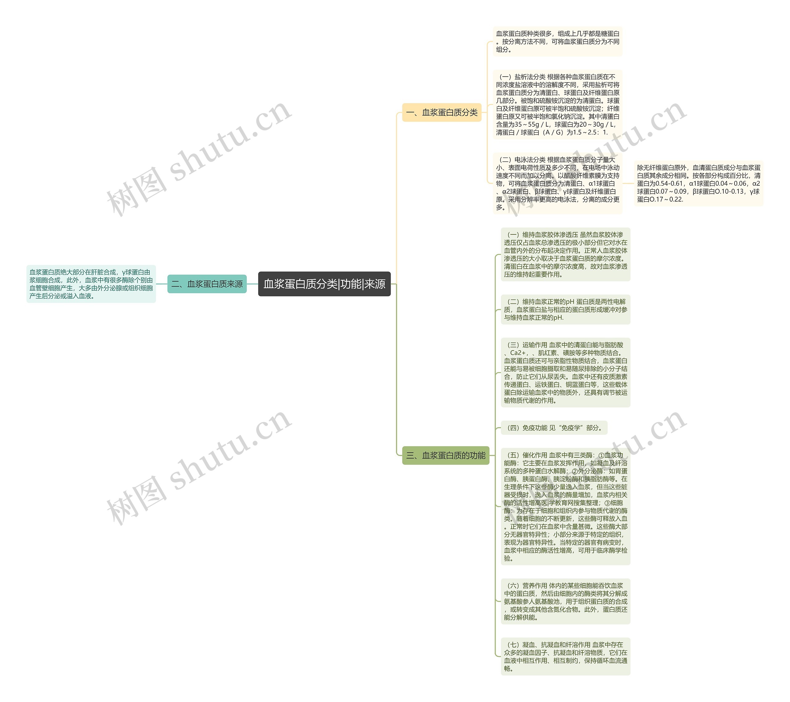 血浆蛋白质分类|功能|来源思维导图