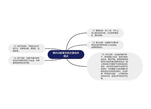 髂内动脉壁支的主要临床概述