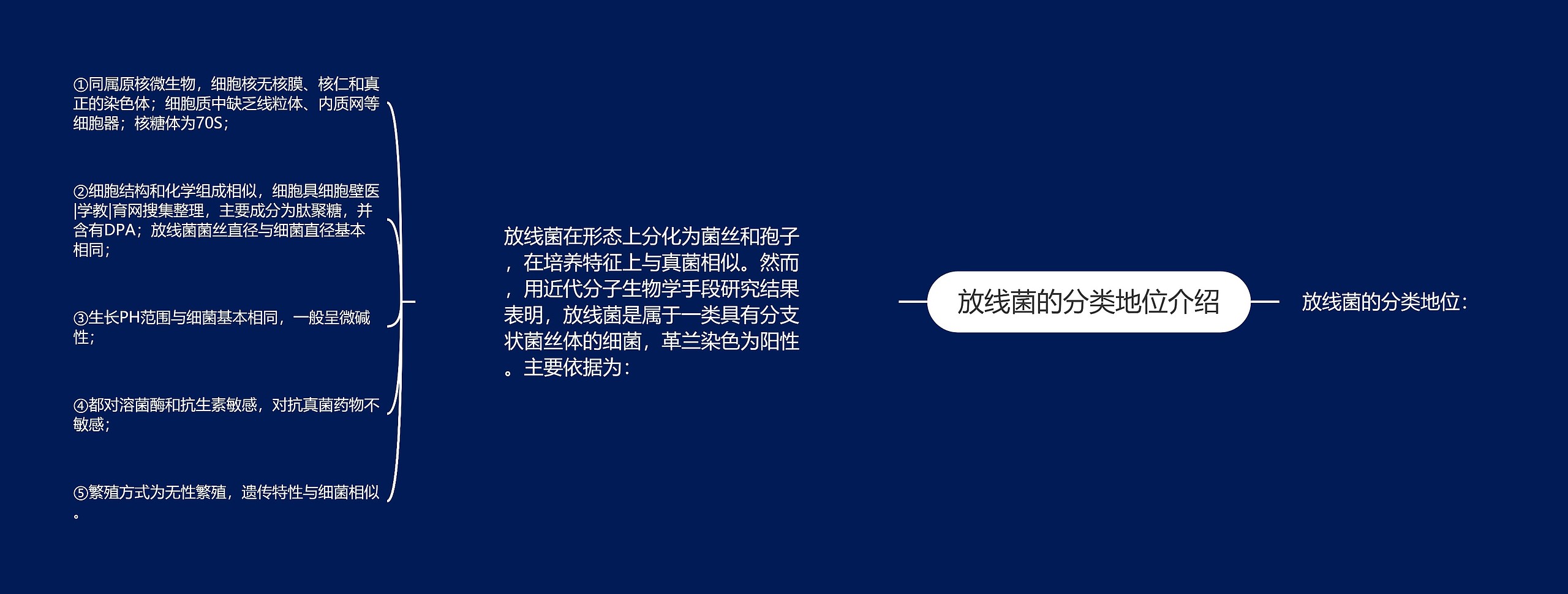 放线菌的分类地位介绍思维导图高清图 放线菌的分类地位介绍思维导图