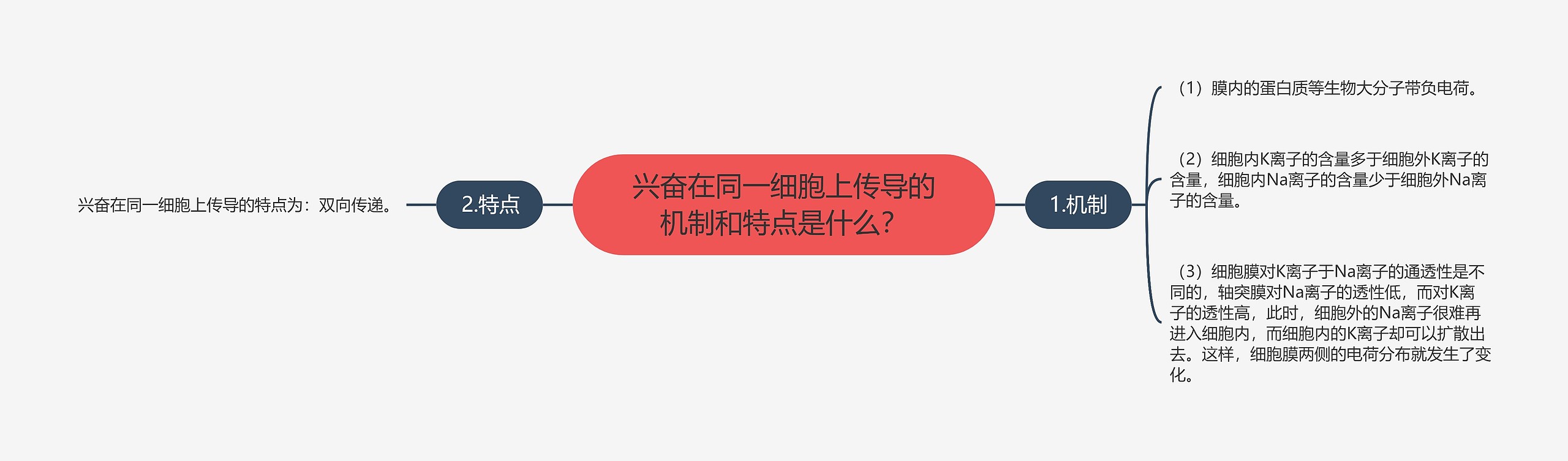 兴奋在同一细胞上传导的机制和特点是什么？思维导图