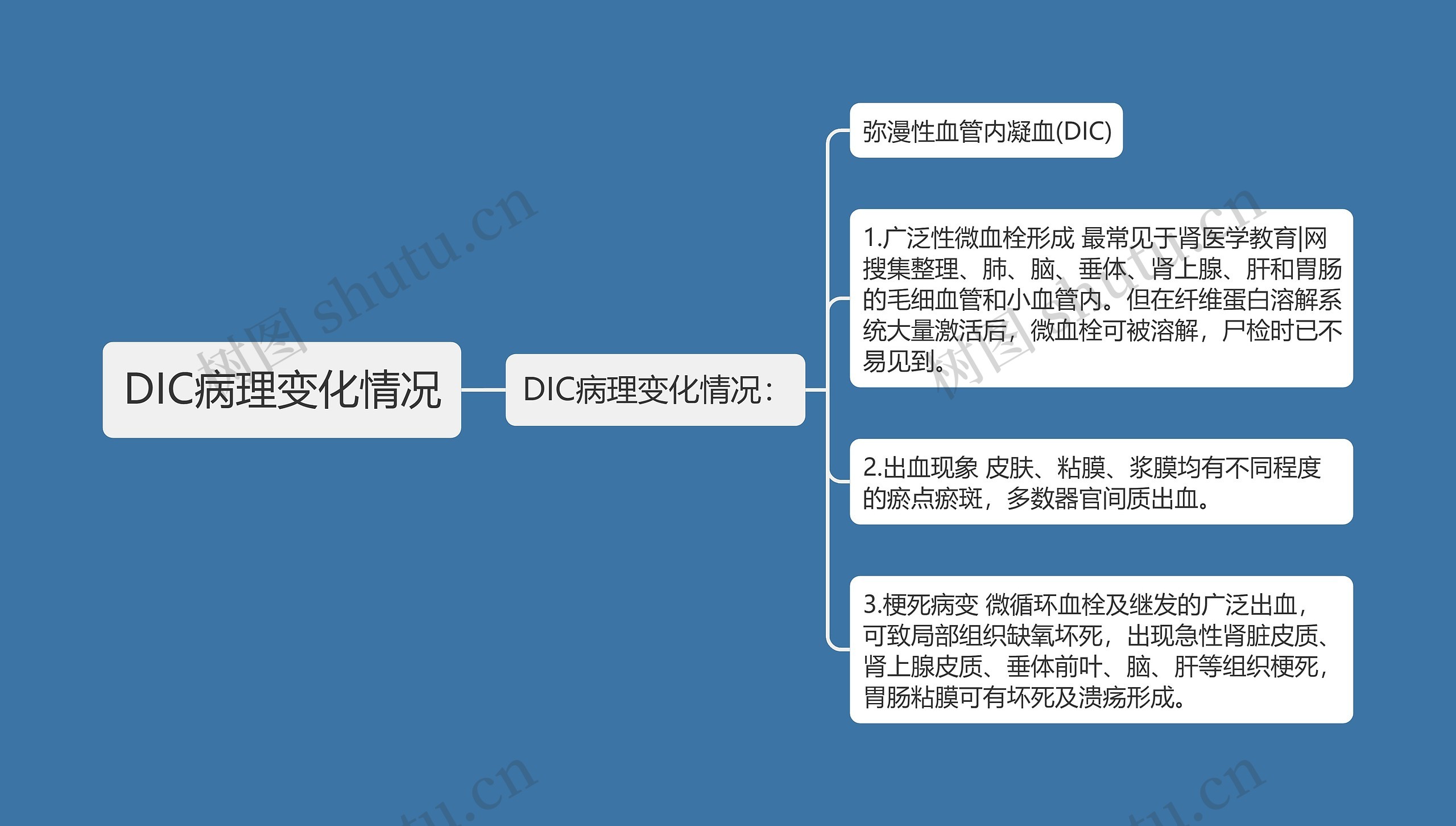 DIC病理变化情况思维导图