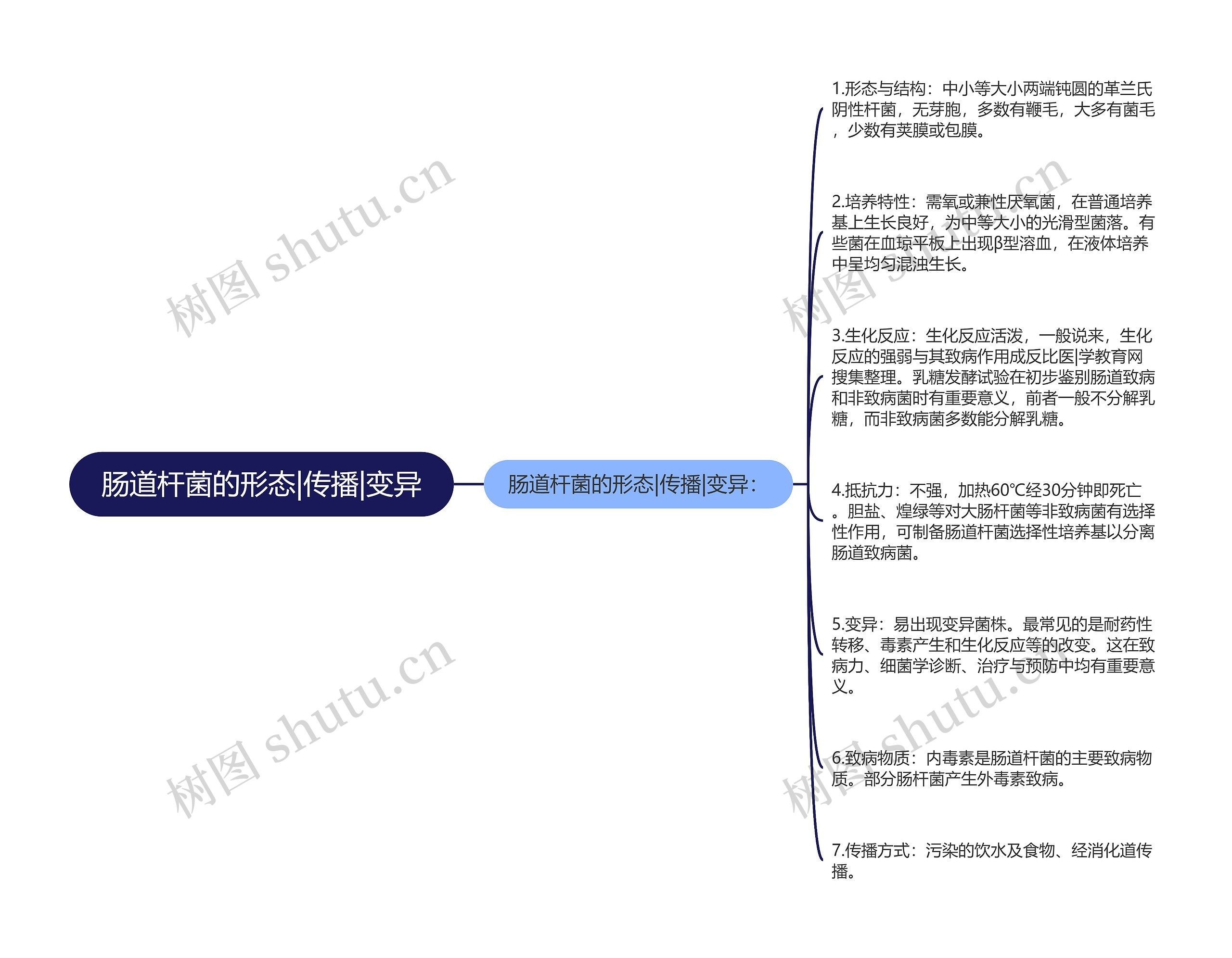 肠道杆菌的形态|传播|变异思维导图