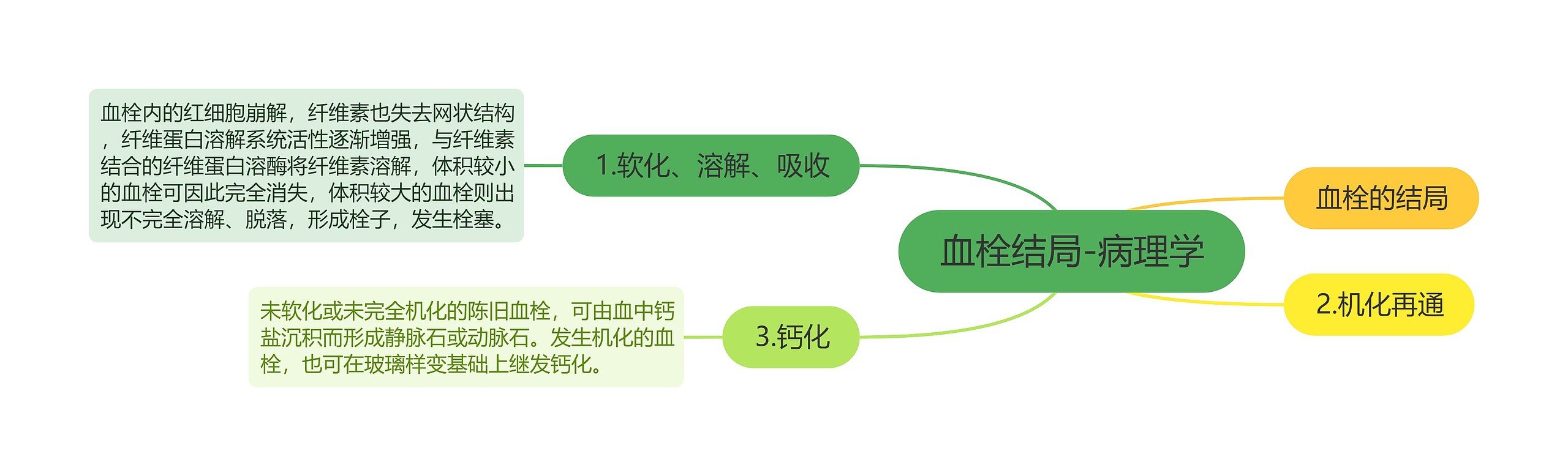 血栓结局-病理学思维导图