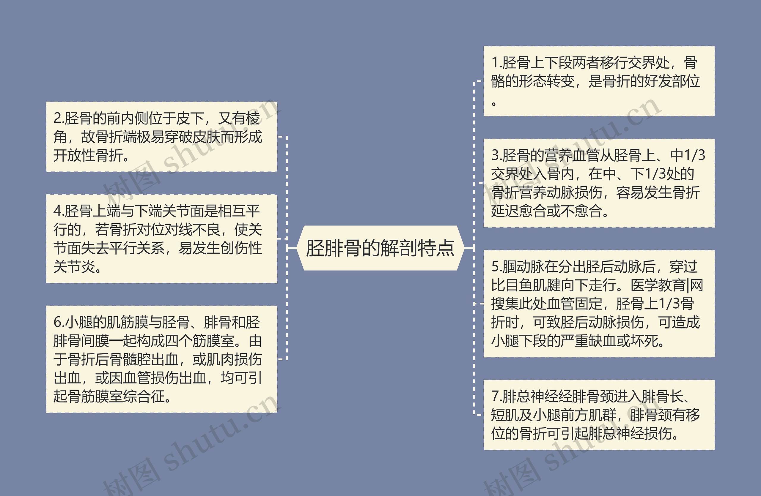 胫腓骨的解剖特点