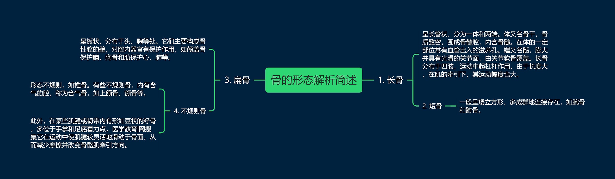 骨的形态解析简述 骨的形态解析简述