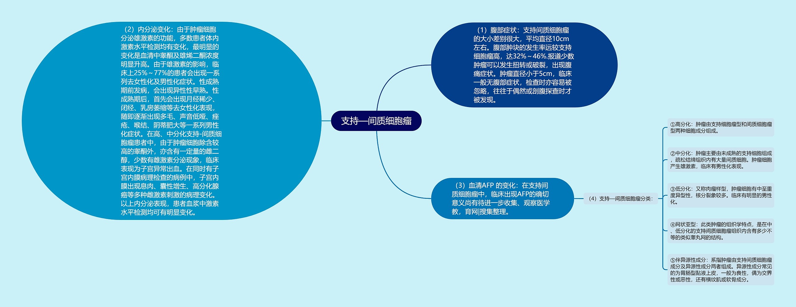 支持—间质细胞瘤思维导图