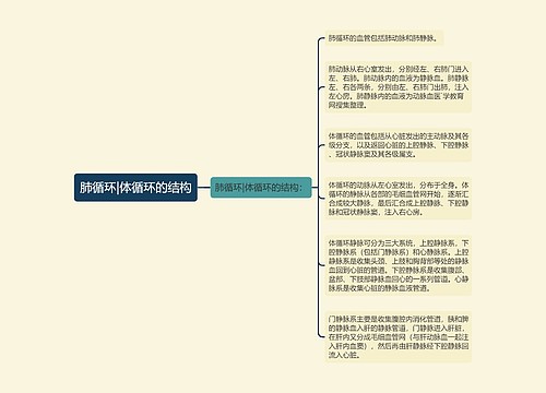 肺循环|体循环的结构