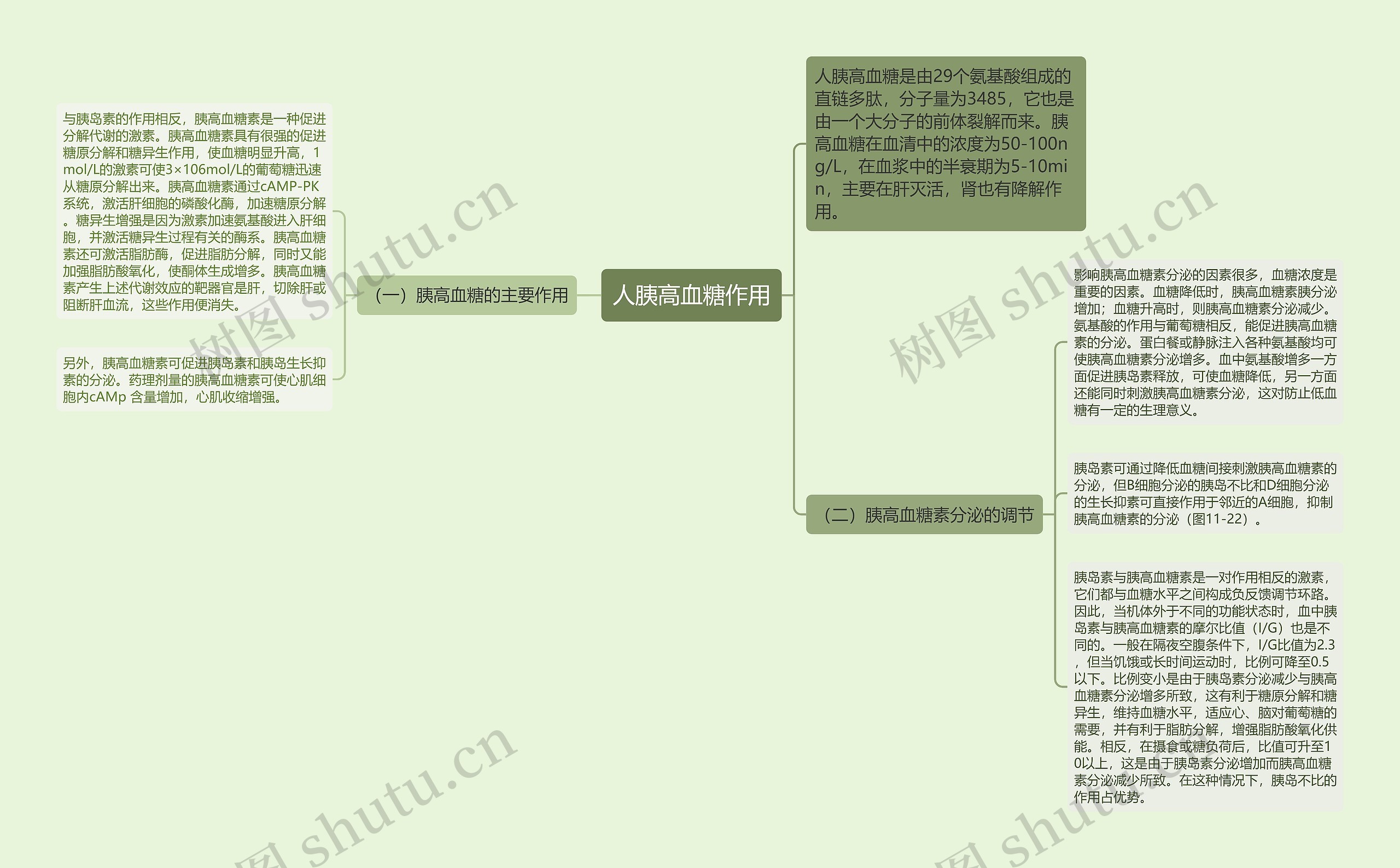 人胰高血糖作用思维导图