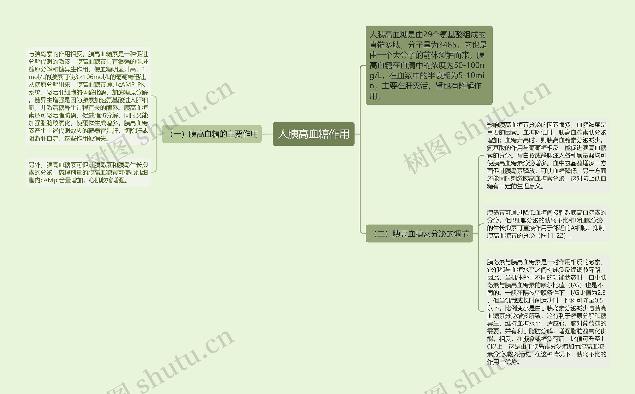 人胰高血糖作用 人胰高血糖作用