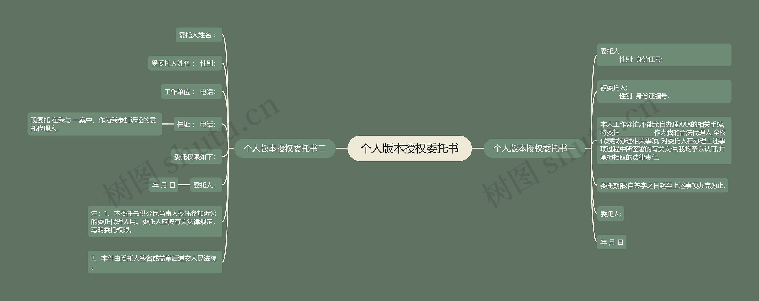 个人版本授权委托书 个人版本授权委托书