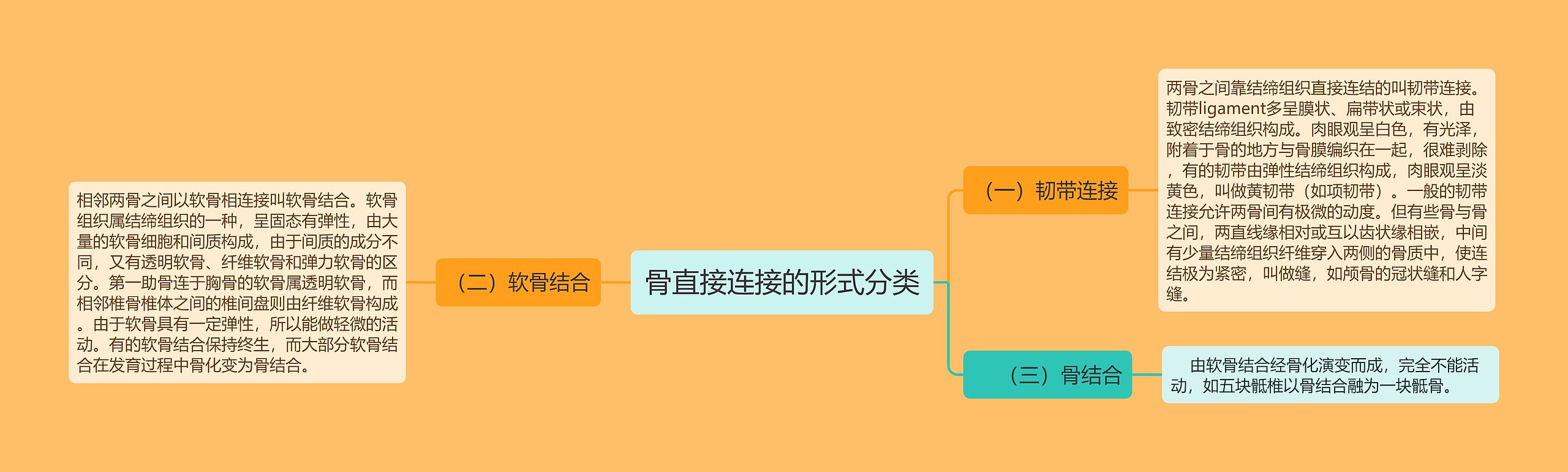 骨直接连接的形式分类思维导图