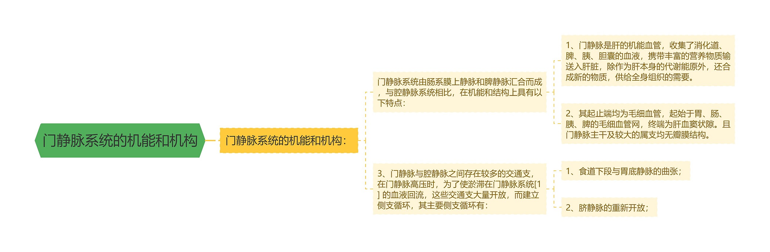 门静脉系统的机能和机构