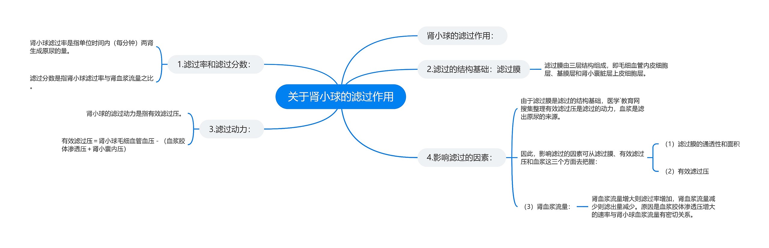 关于肾小球的滤过作用