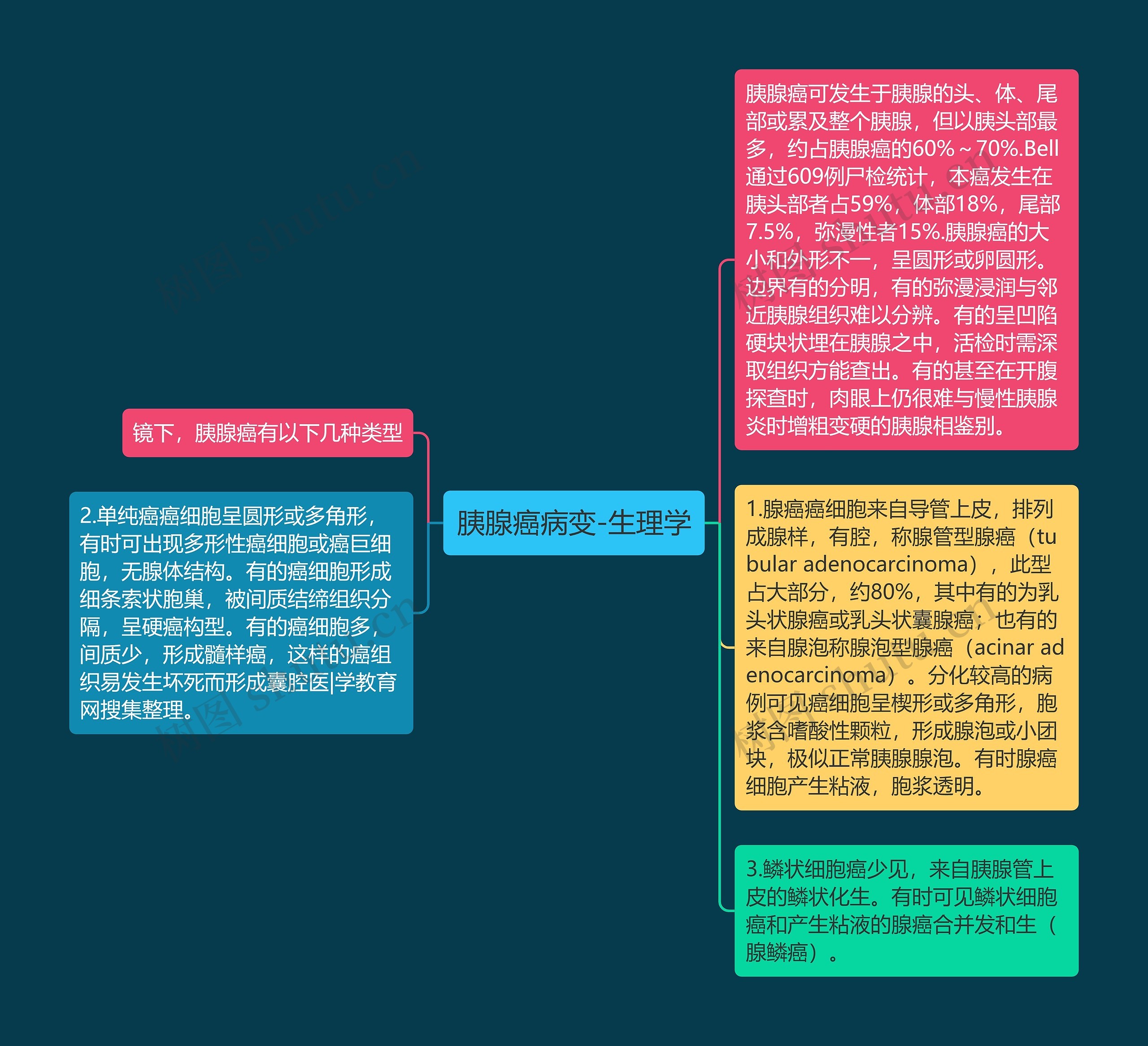 胰腺癌病变-生理学 胰腺癌病变-生理学