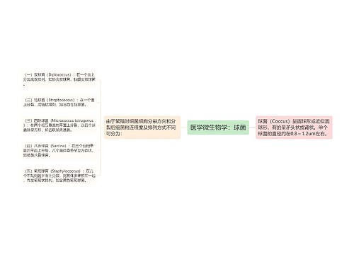 医学微生物学：球菌