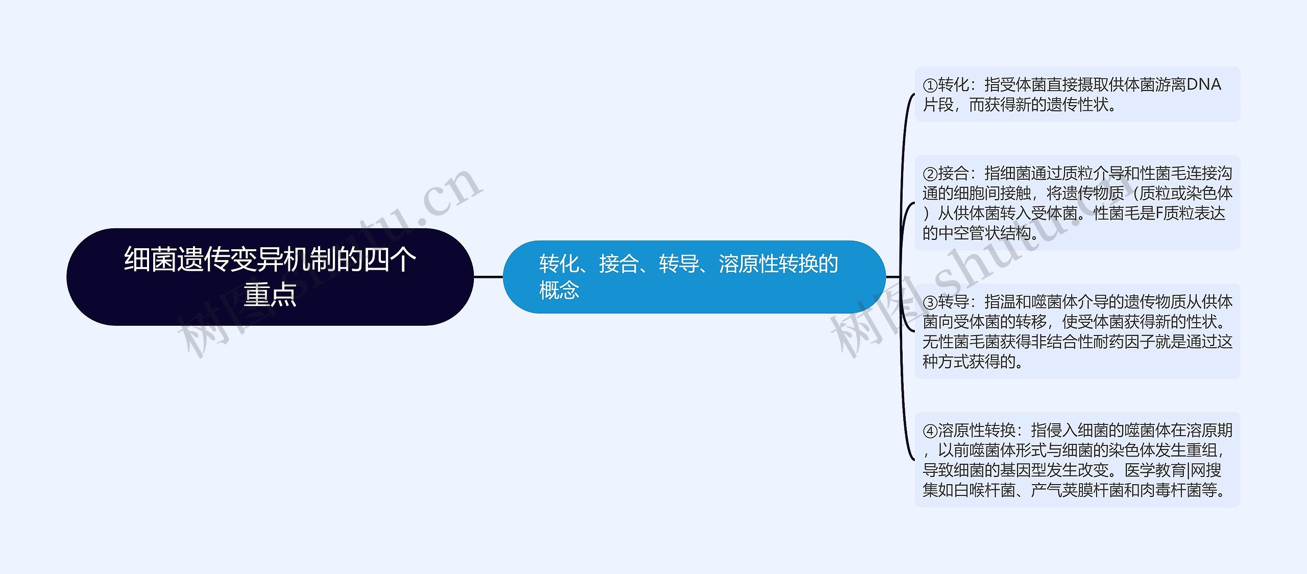 细菌遗传变异机制的四个重点