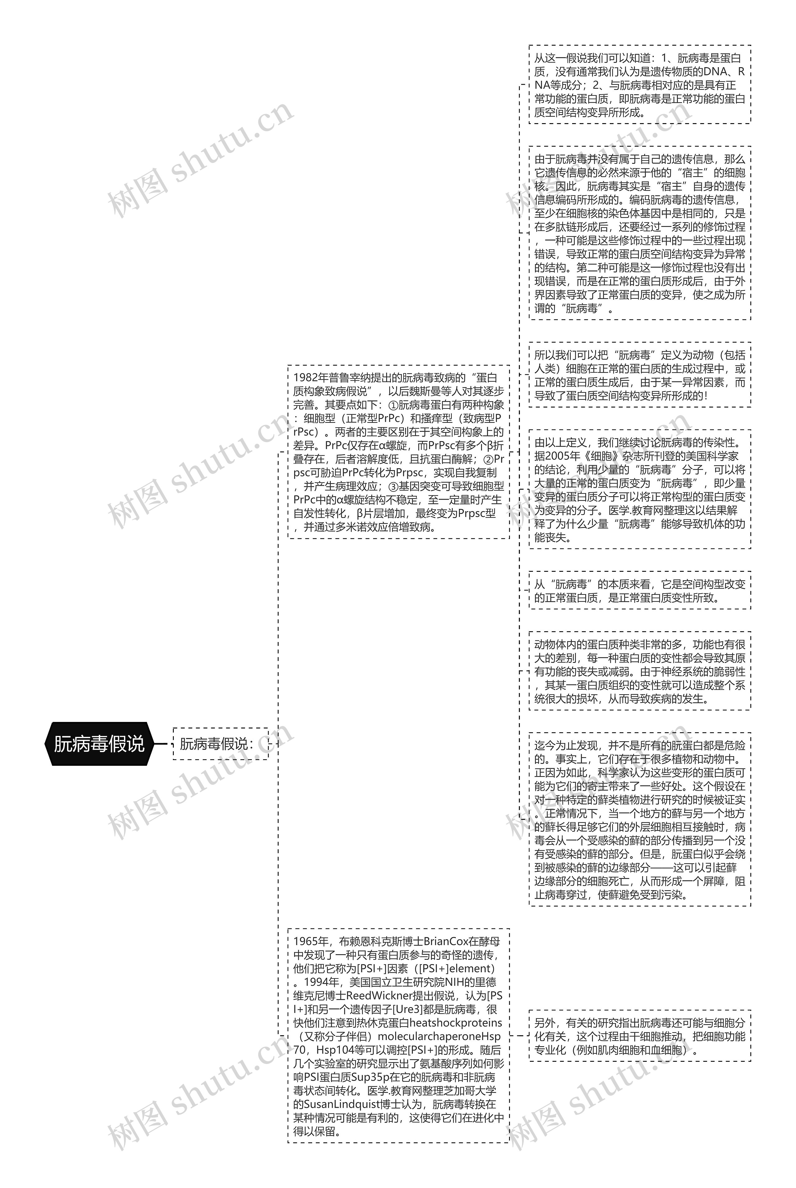 朊病毒假说思维导图