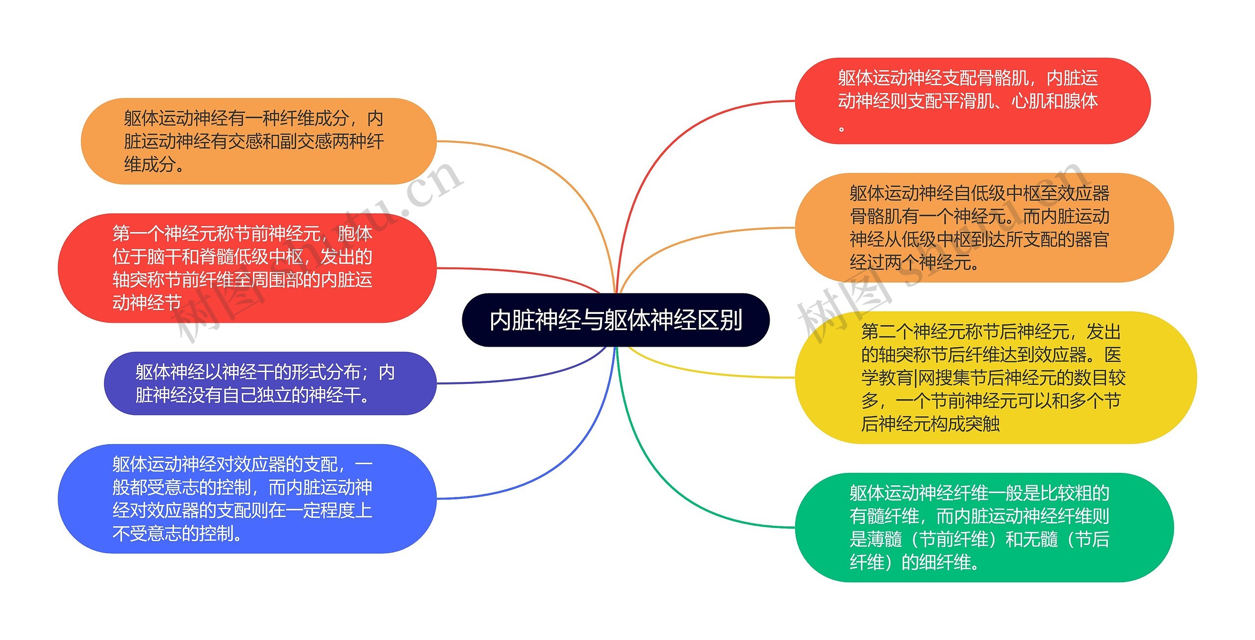 内脏神经与躯体神经区别思维导图